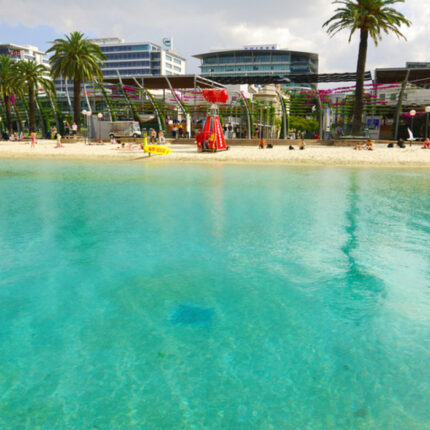 Kiwiana Panorama
